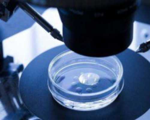 国内私立供卵医院排名前十名,紫朵朵供卵价格表有谁知道吗