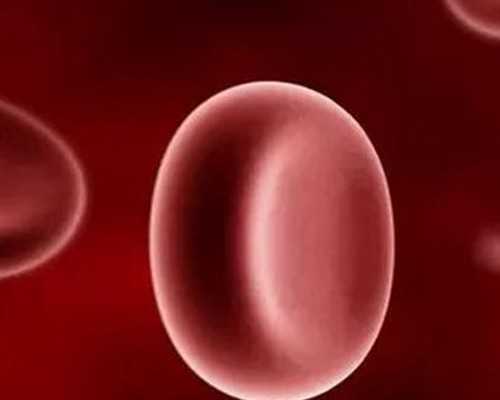 国内试管代怀男宝,最后*死恋（关于最后*死恋介绍）