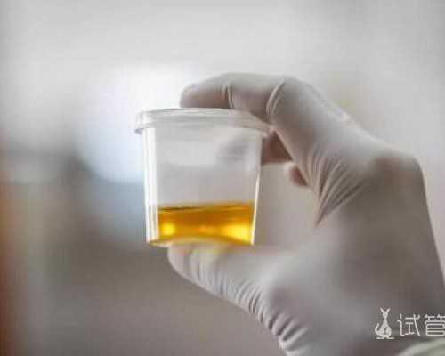 国内供卵大概费用,长期喝八珍汤的好处有啥？哪里可以买到？