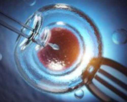 国内试管机构捐卵,做试管婴儿需要哪些证件,试管婴儿需要的证件