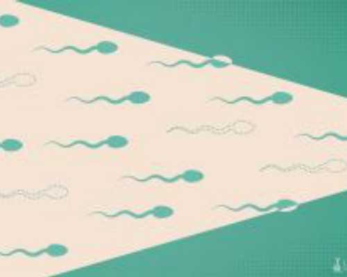 国内供卵生殖机构,天津市试管婴儿排行榜哪里做试管成功率高