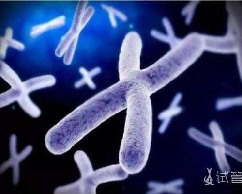 国内代怀生孩子,取卵后第二天肚子突然很痛，取卵第二天突然小腹特别疼