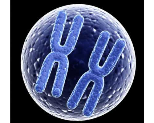 国内供卵试管成功率多少,赴北京试管婴儿多少钱试管婴儿具体流程有哪些