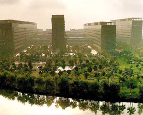 国内供卵需要准备什么,单身女士去泰国做试管需要多少钱