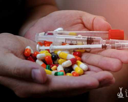 国内有没有供卵试管的医院,睾酮是什么?据悉偏高或偏低都会影响生育