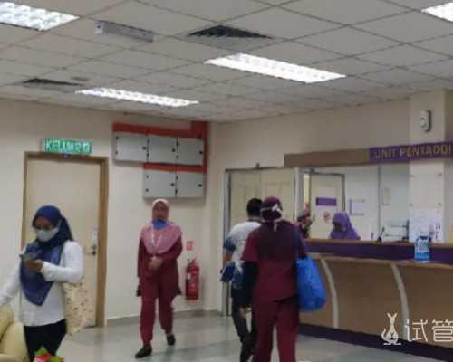 国内供卵排队,眉山做试管三代需要多少费用，附助孕价格表！