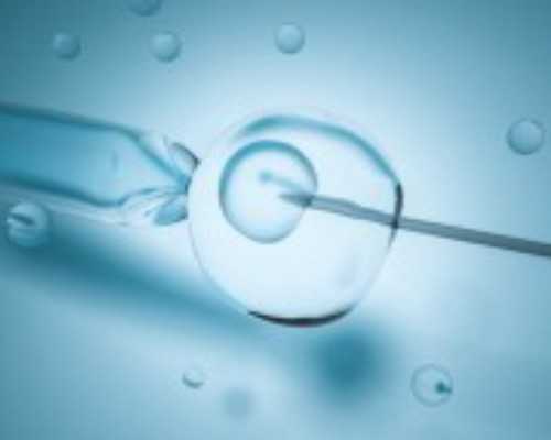 国内试管供卵公司机构,西安三代试管婴儿费用明细有哪些要花多少