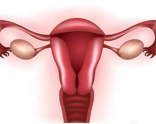 国内供卵机构哪家正规,嘉兴试管婴儿费用明细表一览,附全流程总花费参考!