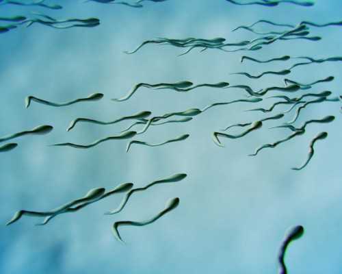 国内供卵机构有哪些企业,幼子子宫能试管婴儿吗?医生:具体需要看子宫大小