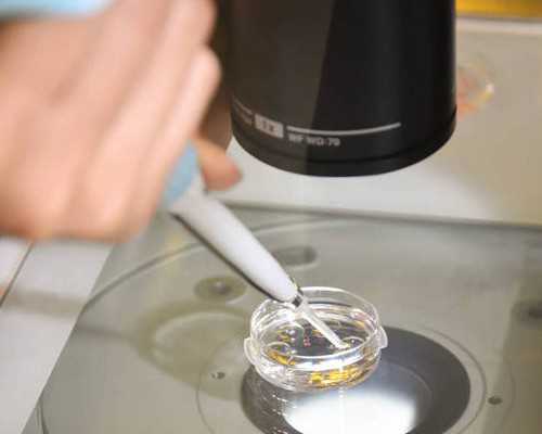 国内专业供卵公司,女同性恋做试管婴儿费用多少？费用5万到20万不等！