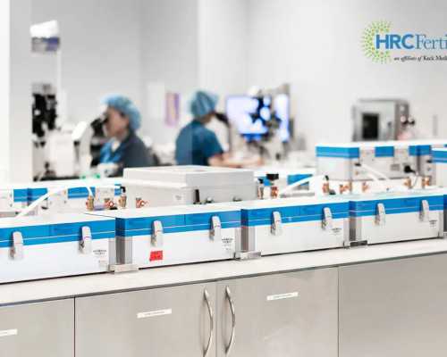 国内试管供卵咨询,郑州高龄试管婴儿费用多少钱 步骤有哪些