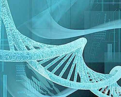 国内哪个医院供卵比较快,做试管婴儿几率多大？试管婴儿*双胞胎几率大不大