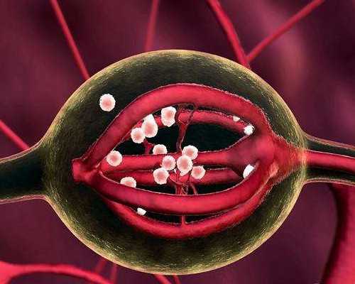 国内供卵的机构在哪,单身女孩做试管,单身女孩可以做试管婴儿吗