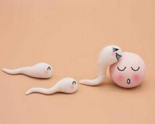 国内可以供卵的医院有几家,最·清新：留住时光的摄影秘笈（关于最·清新：留住时光的摄影秘笈介绍）