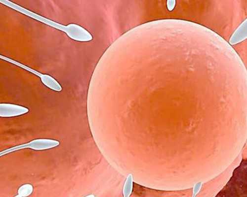 国内供卵血型要求,2026年三代试管***费用明细附***条件