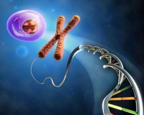 国内供卵排队,备孕女性不妨吃些燕窝帮助孕