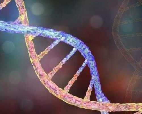 国内最好代怀机构,做三代试管**费用总共多少？附费用明细？