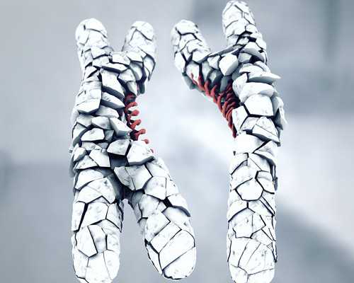 国内供卵代孕费用,2026年老黄历清宫表怎么看？一文就够了