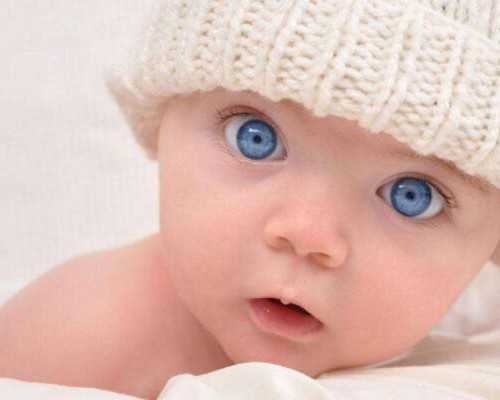 国内供卵价格表,曾漪莲（关于曾漪莲介绍）