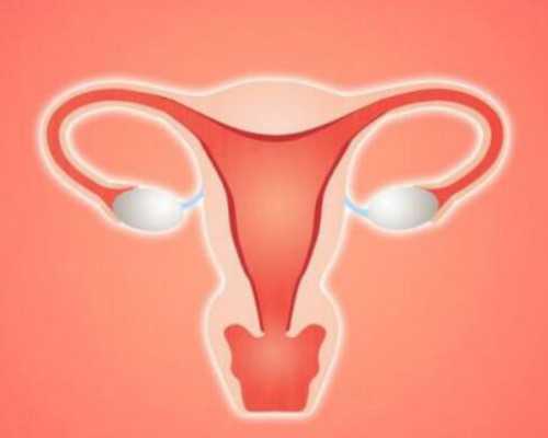 中国哪家医院能做供卵试管,做试管婴儿需要打什么针(做试管婴儿是需要*的过程有哪些)