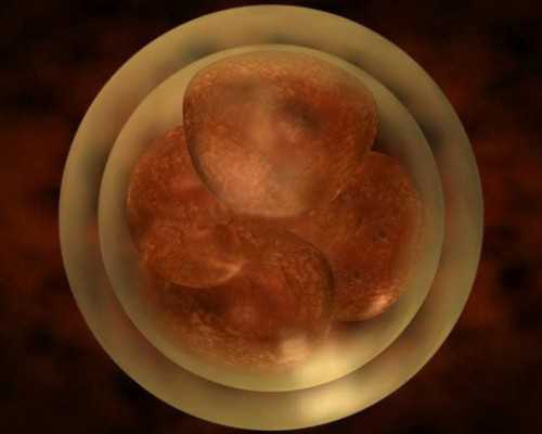 国内供卵试管技术,想做试管婴儿，为什么医*总是说看看你的身体条件？